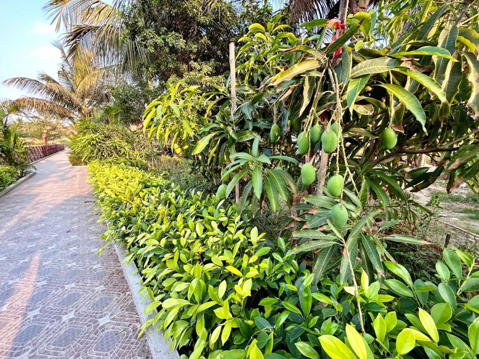 Palli Bangla Resort, Near Ruby Hospital, Anandapur Kolkata Exterior photo